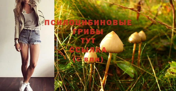 прущие крисы Арсеньев