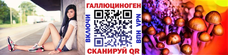 Псилоцибиновые грибы Psilocybe Солигалич