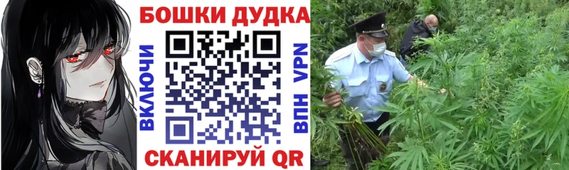 omg tor  наркота  Солигалич  МАРИХУАНА Amnesia 